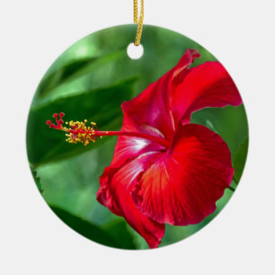 Hibiskus Blossom Keramik Ornament