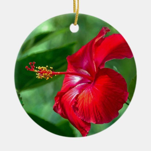 Hibiskus Blossom Keramik Ornament (Vorne)