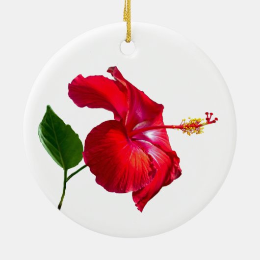 Hibiskus Blossom Keramik Ornament (Hinten)