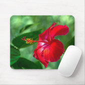 Hibiskus Blossom Mousepad (Mit Mouse)
