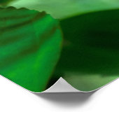 Hibiskus Blossom Poster (Ecke)