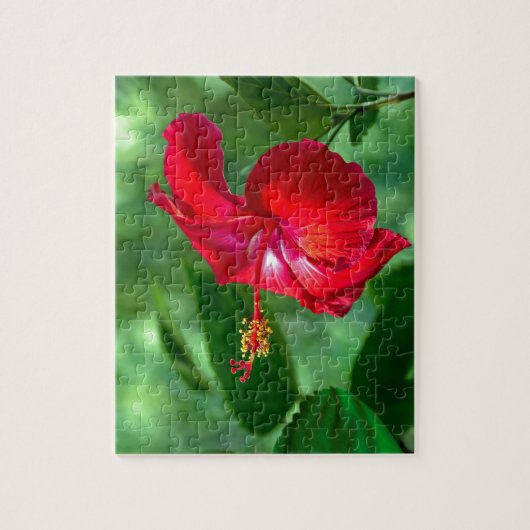 Hibiskus Blossom Puzzle (Vertikal)