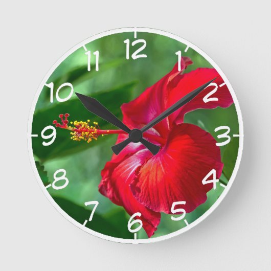 Hibiskus Blossom Runde Wanduhr (Vorderseite)