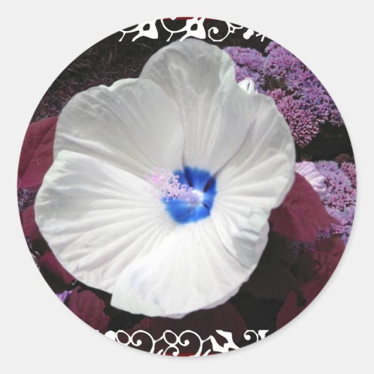 Hibiskus Blue - White Lace Wedding Sticker (Vorderseite)
