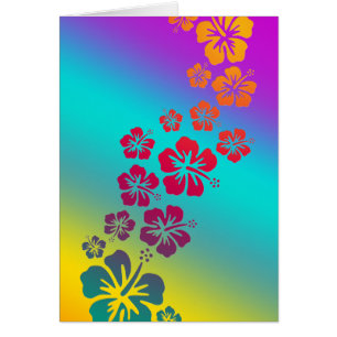 Hibiskus blüht farbiger Hintergrund