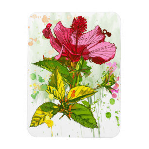 Hibiskus Blume - Aquarellfarbe Magnet