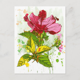 Hibiskus Blume - Aquarellfarbe Postkarte