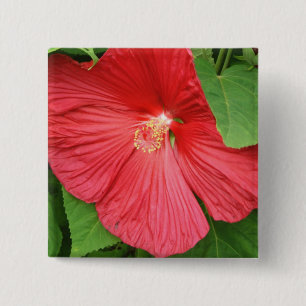 Hibiskus Blume Bright Magenta Button