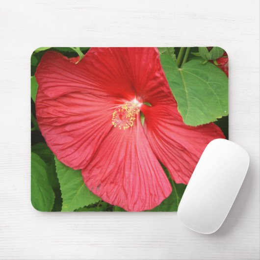 Hibiskus Blume Bright Magenta Mousepad (Mit Mouse)