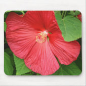 Hibiskus Blume Bright Magenta Mousepad (Vorne)