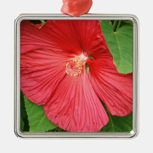 Hibiskus Blume Bright Magenta Ornament Aus Metall (Vorne)