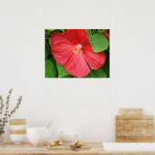 Hibiskus Blume Bright Magenta Poster (Küche)