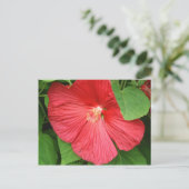 Hibiskus Blume Bright Magenta Postkarte (Stehend Vorderseite)