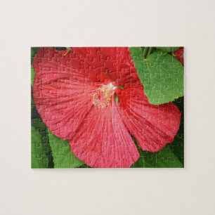 Hibiskus Blume Bright Magenta Puzzle