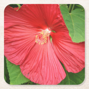 Hibiskus Blume Bright Magenta Rechteckiger Pappuntersetzer