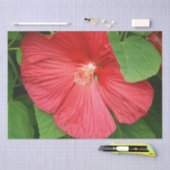 Hibiskus Blume Bright Magenta Seidenpapier (Handwerk)