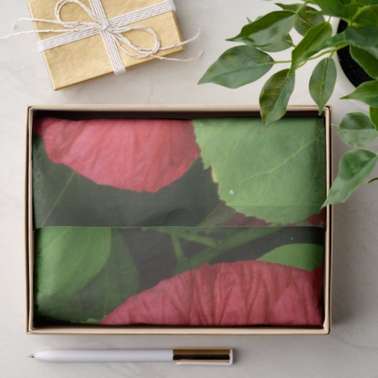 Hibiskus Blume Bright Magenta Seidenpapier (Geschenk)