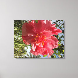 Hibiskus Blume drucken @3Typs1life Leinwanddruck