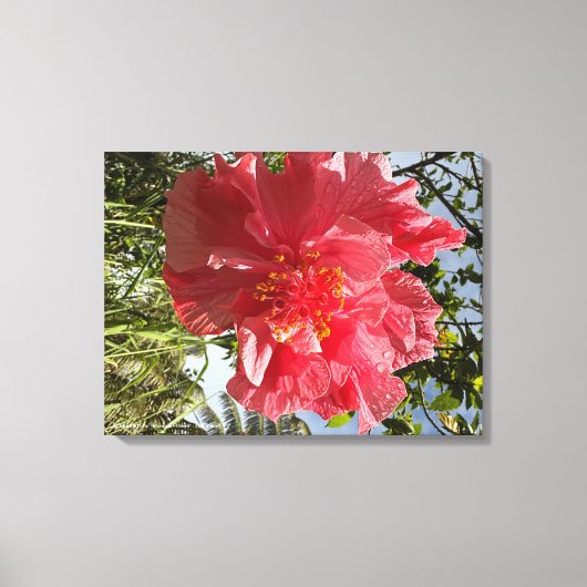 Hibiskus Blume drucken @3Typs1life Leinwanddruck (Vorderseite)