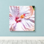 Hibiskus Blume mit Dew Leinwanddruck (Insitu (Holzboden))