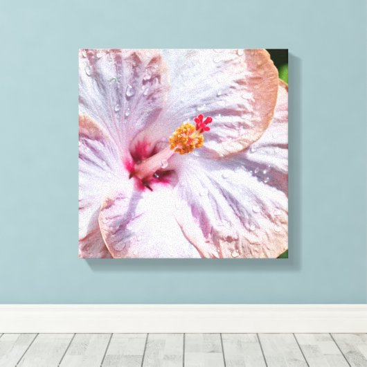 Hibiskus Blume mit Dew Leinwanddruck (Insitu (Holzboden))