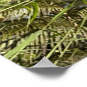 Hibiskus Blume Poster @3Typs1life (Ecke)