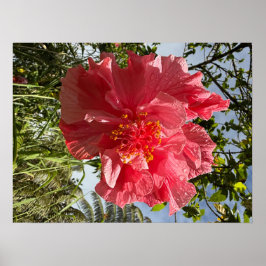 Hibiskus Blume Poster @3Typs1life