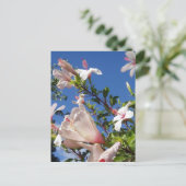 Hibiskus Blume Postkarte (Stehend Vorderseite)