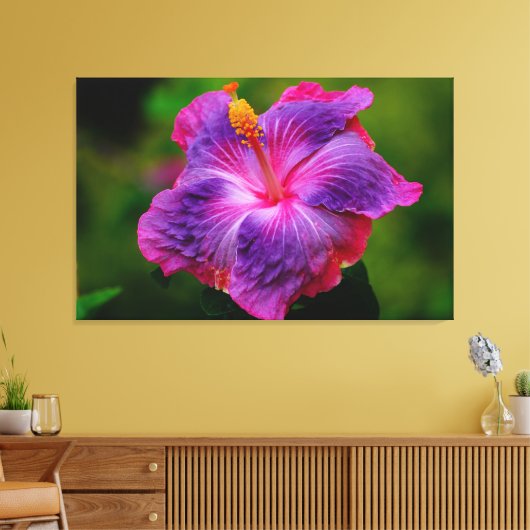 Hibiskus Blume Stretch Canvas Print Leinwanddruck (Insitu (Wohnzimmer))