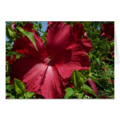 Hibiskus Blume und Blue Sky (Vorderseite (Horizontal))
