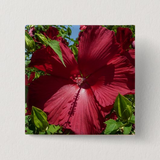 Hibiskus Blume und Blue Sky Button (Vorderseite)