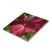 Hibiskus Blume und Blue Sky Fliese (Seite)