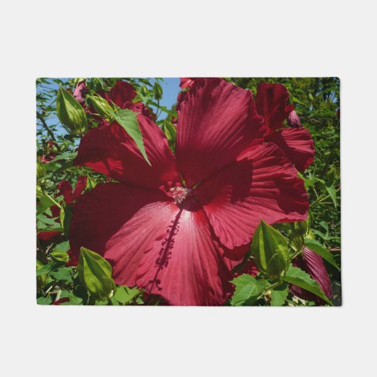 Hibiskus Blume und Blue Sky Fußmatte (Vorderseite)