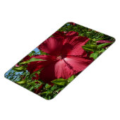 Hibiskus Blume und Blue Sky Magnet (Linke Seite)
