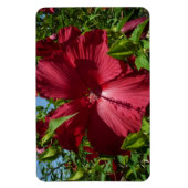 Hibiskus Blume und Blue Sky Magnet (Vertikal)
