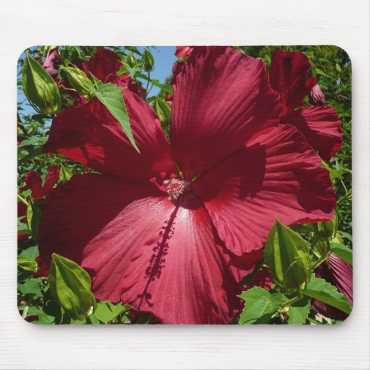 Hibiskus Blume und Blue Sky Mousepad (Vorne)