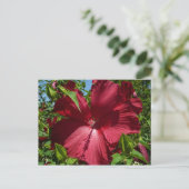 Hibiskus Blume und Blue Sky Postkarte (Stehend Vorderseite)