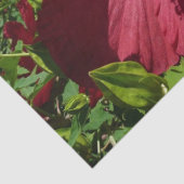 Hibiskus Blume und Blue Sky Seidenpapier (Detail)