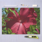 Hibiskus Blume und Blue Sky Seidenpapier (Handwerk)