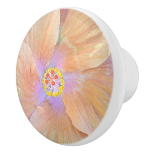 Hibiskus-Blumen-Keramikgriff Keramikknauf (Rechts)