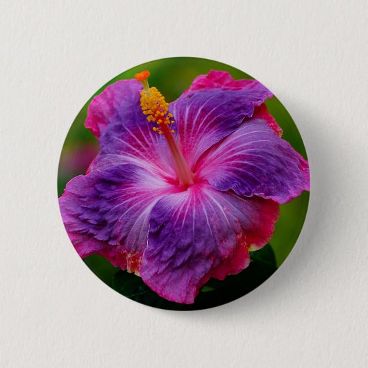 Hibiskus-Blumen-Knopf Button (Vorderseite)