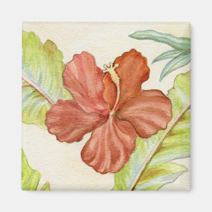 Hibiskus-Blumen-Magnet Magnet