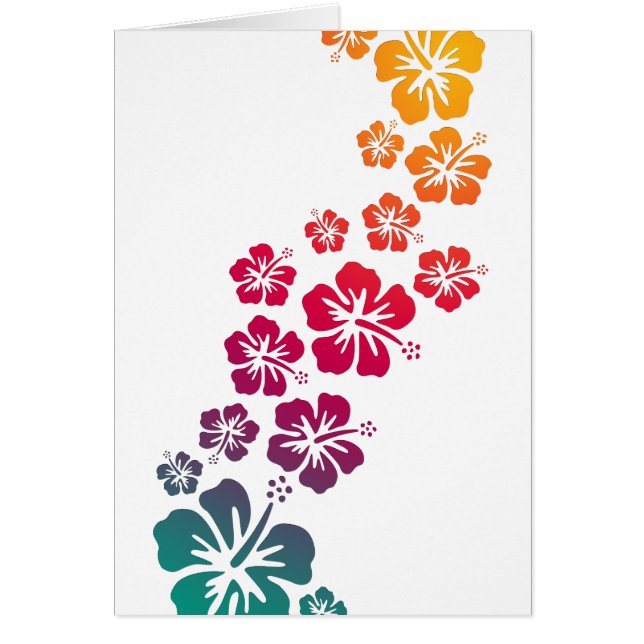 Hibiskus Blüten gefärbt (Vorne)