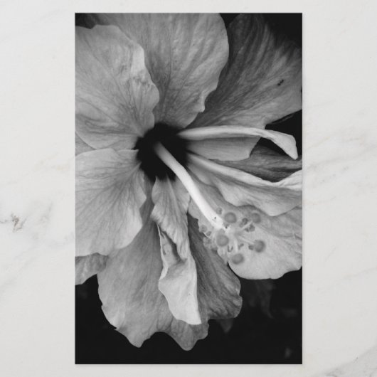 Hibiskus Briefpapier (Vorderseite)