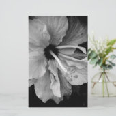 Hibiskus Briefpapier (Stehend Vorderseite)