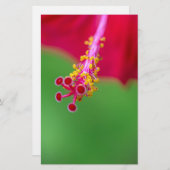 Hibiskus Briefpapier (Vorne/Hinten)