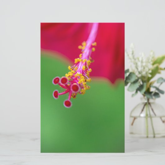 Hibiskus Briefpapier (Stehend Vorderseite)