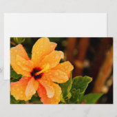 Hibiskus Briefpapier (Vorne/Hinten)