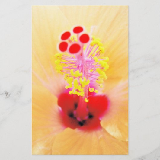 Hibiskus Briefpapier (Vorderseite)