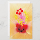 Hibiskus Briefpapier (Vorne/Hinten)